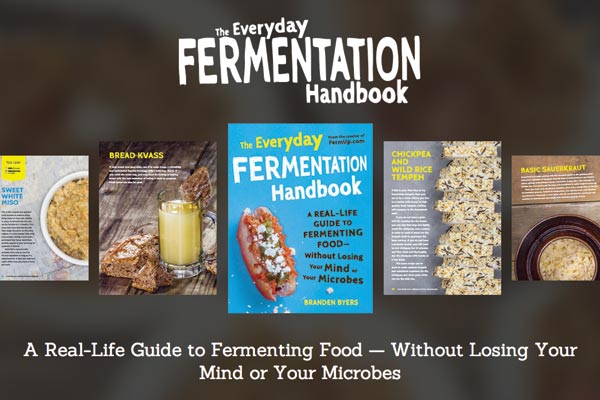 The Everyday Fermentation Handbook Sneak Peak
