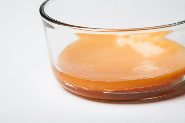 kombucha SCOBY in bowl