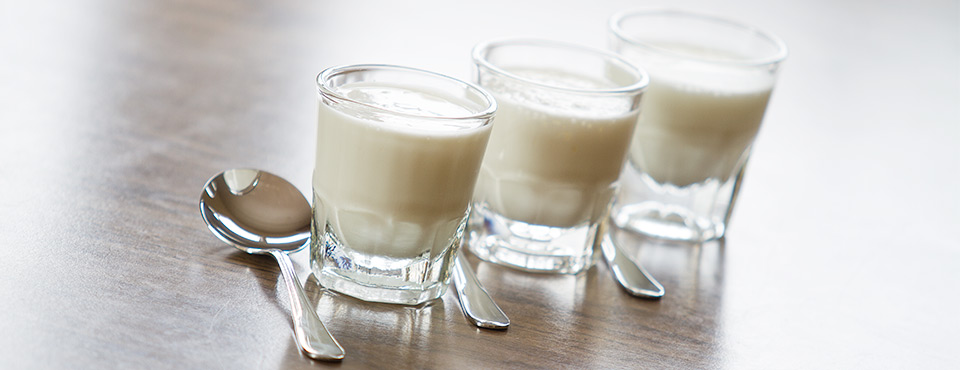 Homemade Heirloom Yogurt Comparison