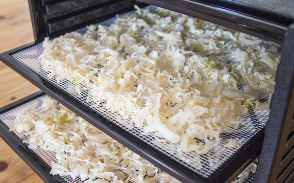 sauerkraut in dehydrator